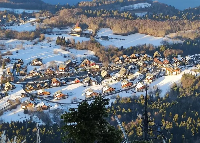 Magnifique Studio Style Montagnard